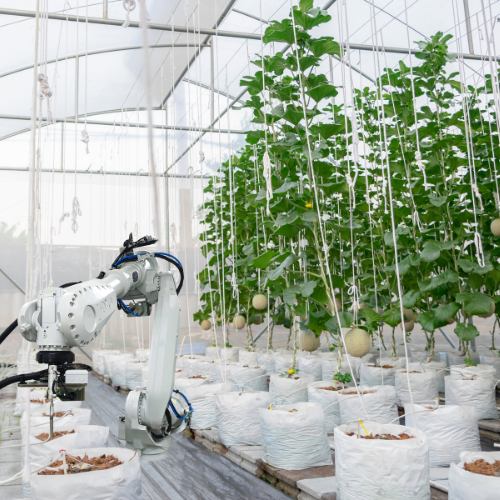 Universidad Abierta de TLAXCALA